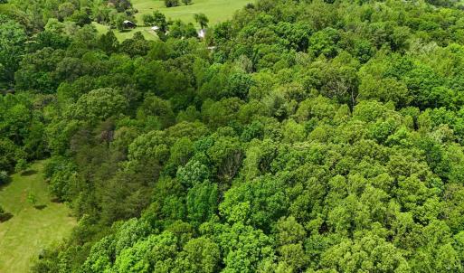 Photo #9 of Nelmonte Ln, Arrington, VA 4.9 acres