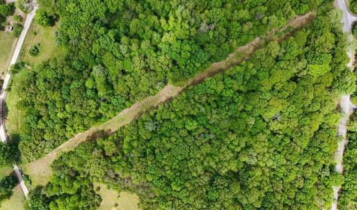 Photo #3 of Nelmonte Ln, Arrington, VA 4.9 acres