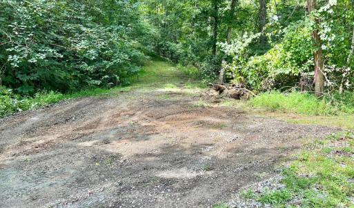 Photo #3 of 12 Gun Mountain Dr, Monroe, VA 5.0 acres