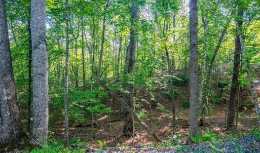 Photo #9 of Smoky Hollow Rd, Lynchburg, VA 5.5 acres