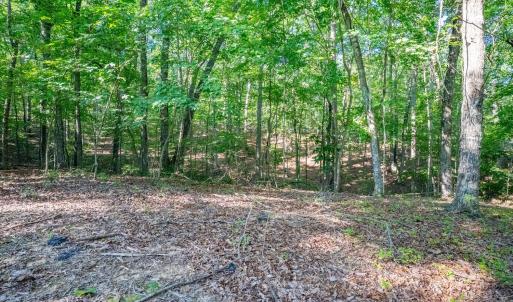 Photo #13 of Smoky Hollow Rd, Lynchburg, VA 5.5 acres