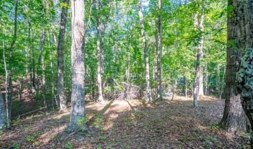 Photo #14 of Smoky Hollow Rd, Lynchburg, VA 5.5 acres