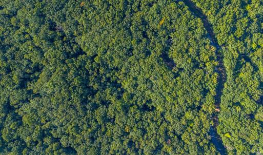 Photo #8 of Smoky Hollow Rd, Lynchburg, VA 5.5 acres