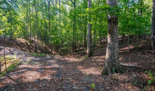 Photo #10 of Smoky Hollow Rd, Lynchburg, VA 5.5 acres