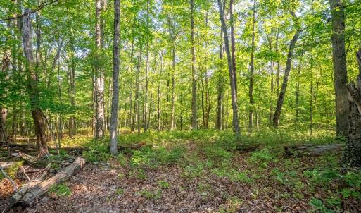 Photo #12 of Smoky Hollow Rd, Lynchburg, VA 5.5 acres