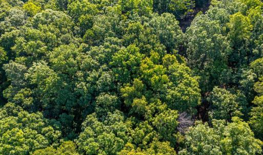 Photo #28 of Smoky Hollow Rd, Lynchburg, VA 5.5 acres