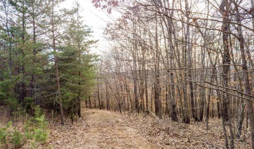 Photo #9 of Red Birch Dr Lot 34, Pittsville, VA 4.9 acres