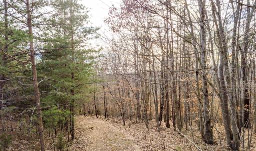 Photo #8 of Red Birch Dr Lot 34, Pittsville, VA 4.9 acres