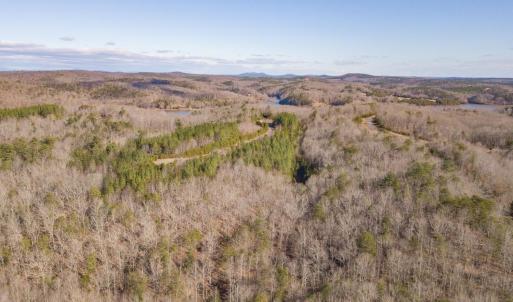 Photo #10 of 0 Jones Pt Lot 28, Pittsville, VA 1.0 acres