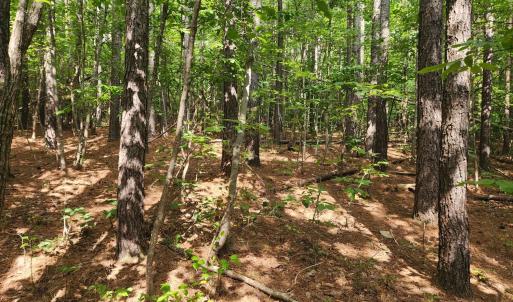 Photo #2 of Red House Road, Appomattox, VA 1.3 acres