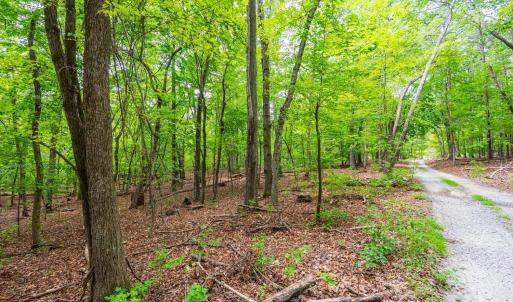 Photo #17 of Atwell Lane, Keysville, VA 39.8 acres