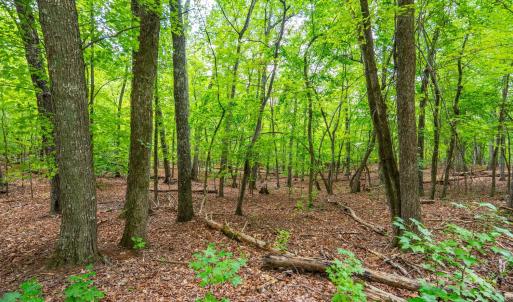 Photo #16 of Atwell Lane, Keysville, VA 39.8 acres