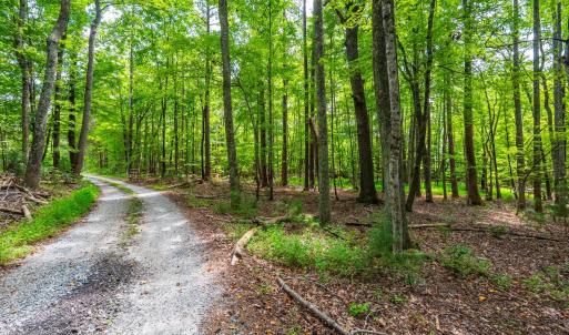 Photo #13 of Atwell Lane, Keysville, VA 39.8 acres