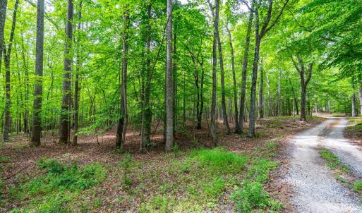 Photo #1 of Atwell Lane, Keysville, VA 39.8 acres