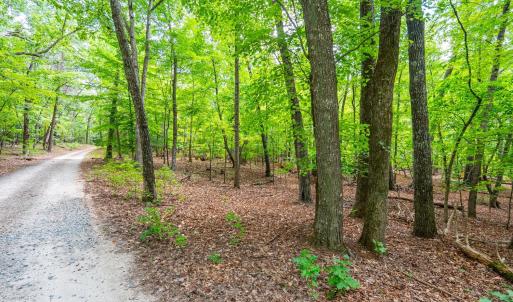 Photo #2 of Atwell Lane, Keysville, VA 39.8 acres