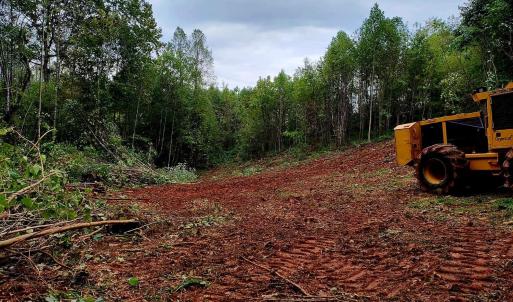 Photo #6 of Forest Road, Lynchburg, VA 4.1 acres