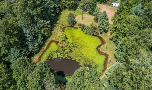 Photo #16 of 6049 Elon Road, Monroe, VA 105.0 acres