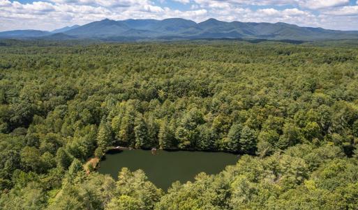 Photo #8 of 6049 Elon Road, Monroe, VA 105.0 acres