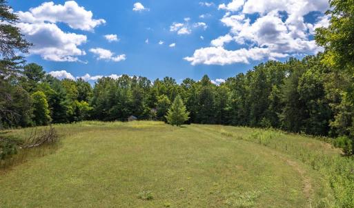 Photo #14 of 6049 Elon Road, Monroe, VA 105.0 acres