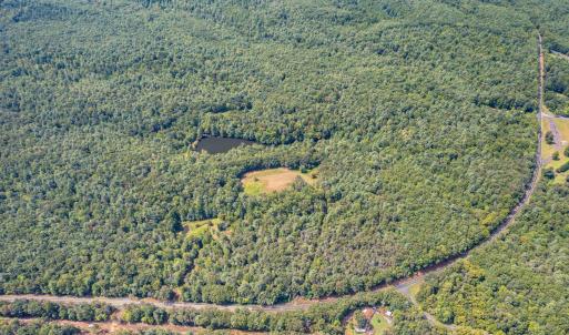 Photo #10 of 6049 Elon Road, Monroe, VA 105.0 acres