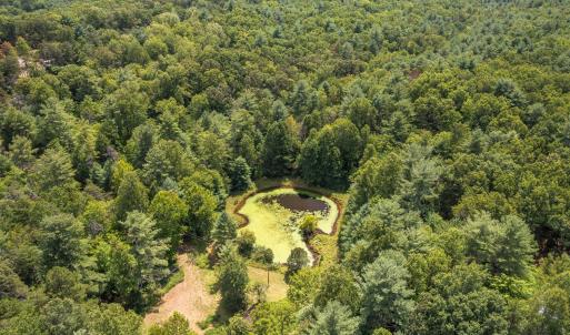 Photo #6 of 6049 Elon Road, Monroe, VA 105.0 acres