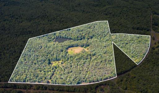 Photo #2 of 6049 Elon Road, Monroe, VA 105.0 acres