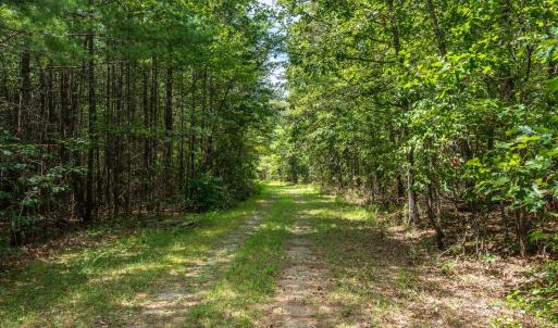 Photo #12 of 6049 Elon Road, Monroe, VA 105.0 acres