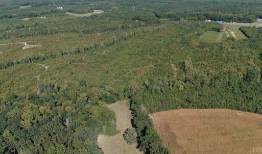 Photo #7 of Coles Ferry Road, Nathalie, VA 63.0 acres