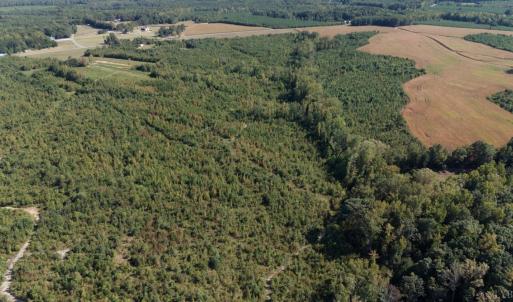 Photo #6 of Coles Ferry Road, Nathalie, VA 63.0 acres