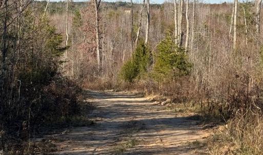 Photo #12 of Coles Ferry Road, Nathalie, VA 63.0 acres