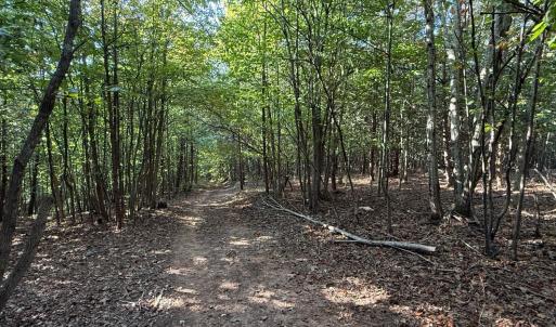 Photo #13 of Shiloh Church Road, Bedford, VA 8.0 acres