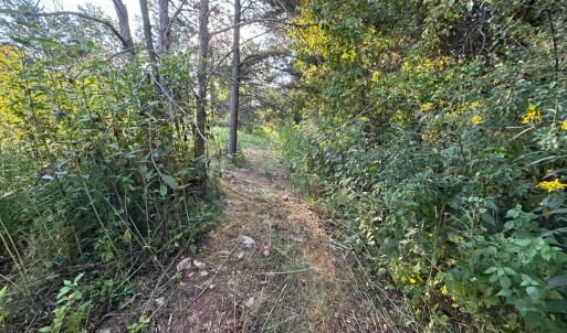 Photo #1 of Shiloh Church Road, Bedford, VA 8.0 acres