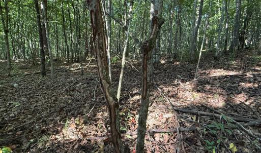 Photo #14 of Shiloh Church Road, Bedford, VA 8.0 acres