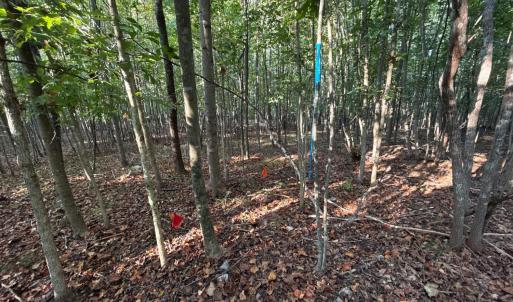 Photo #8 of Shiloh Church Road, Bedford, VA 8.0 acres