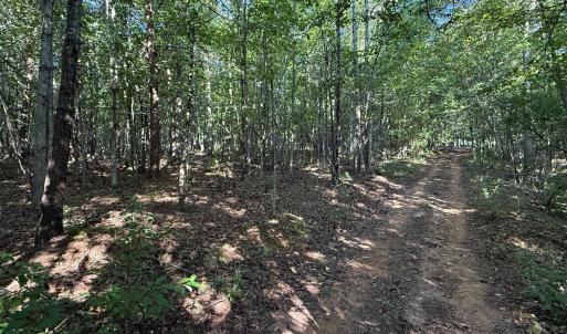 Photo #15 of Shiloh Church Road, Bedford, VA 8.0 acres