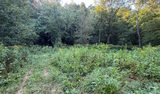 Photo #19 of Shiloh Church Road, Bedford, VA 8.0 acres