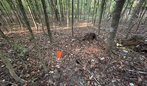 Photo #10 of Shiloh Church Road, Bedford, VA 8.0 acres