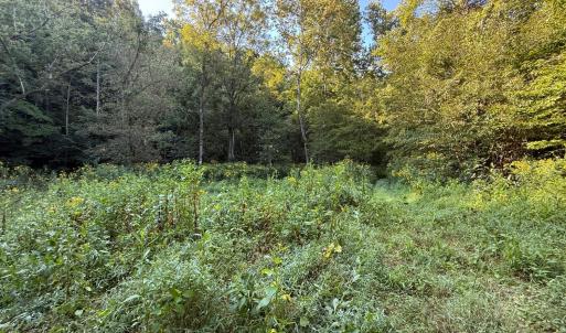 Photo #17 of Shiloh Church Road, Bedford, VA 8.0 acres