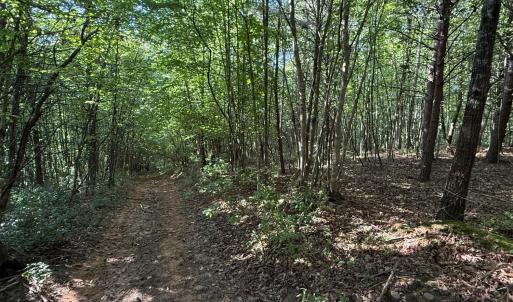 Photo #16 of Shiloh Church Road, Bedford, VA 8.0 acres