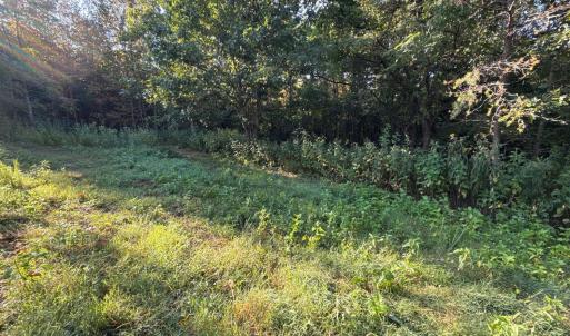 Photo #5 of Shiloh Church Road, Bedford, VA 8.0 acres