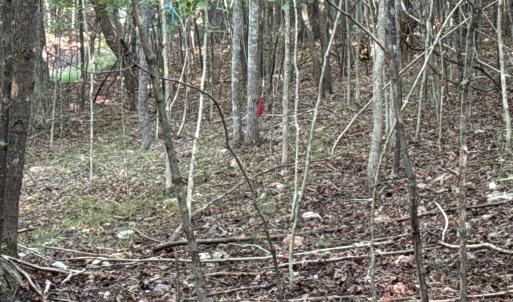 Photo #12 of Shiloh Church Road, Bedford, VA 8.0 acres