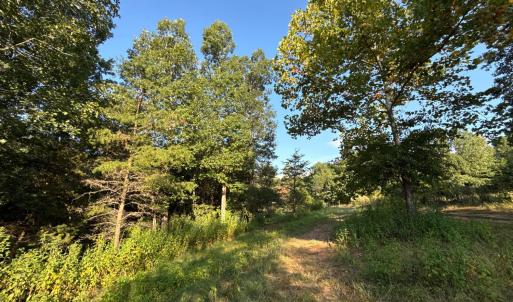 Photo #2 of Shiloh Church Road, Bedford, VA 8.0 acres