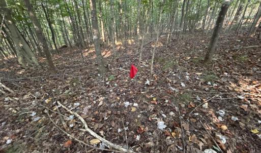 Photo #9 of Shiloh Church Road, Bedford, VA 8.0 acres