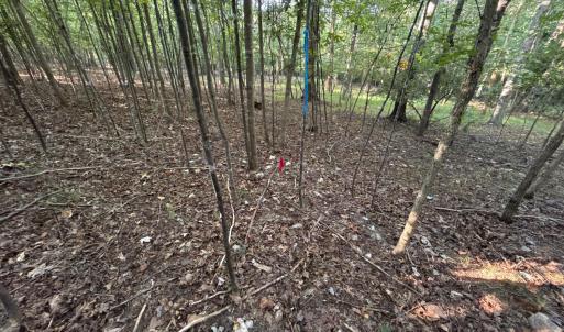 Photo #11 of Shiloh Church Road, Bedford, VA 8.0 acres