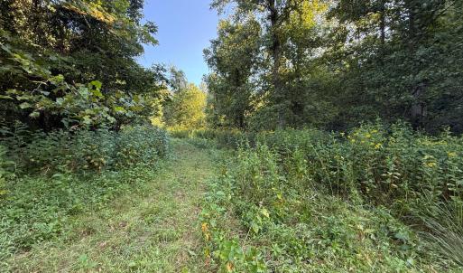 Photo #18 of Shiloh Church Road, Bedford, VA 8.0 acres