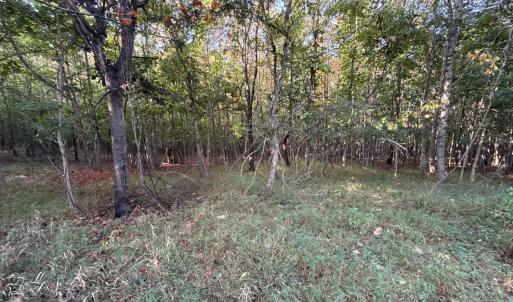 Photo #7 of Shiloh Church Road, Bedford, VA 8.0 acres