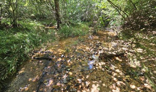 Photo #1 of James Anderson Highway, Gladstone, VA 100.0 acres