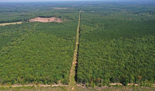 Photo #27 of James Anderson Highway, Gladstone, VA 100.0 acres