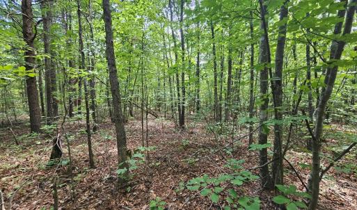 Photo #14 of James Anderson Highway, Gladstone, VA 100.0 acres
