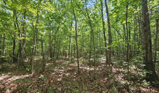 Photo #18 of James Anderson Highway, Gladstone, VA 100.0 acres